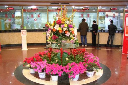 银行大厅花卉租摆方案