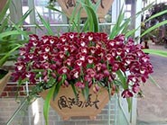 产品展示