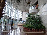 产品展示