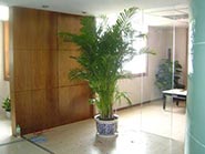 产品展示