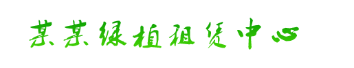 网站标志