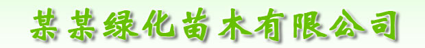 某某环保科技有限公司
