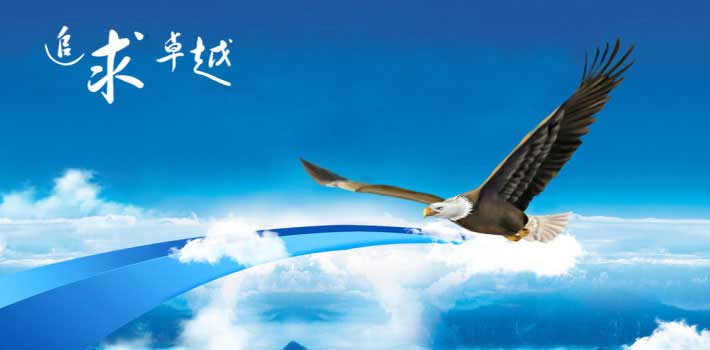 某某公司